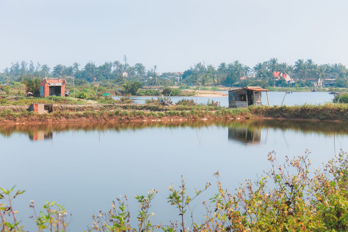 Tra Que vegetable village
